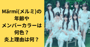 Märmi(メルミ)の年齢やメンバーカラーは何色？炎上理由は何？